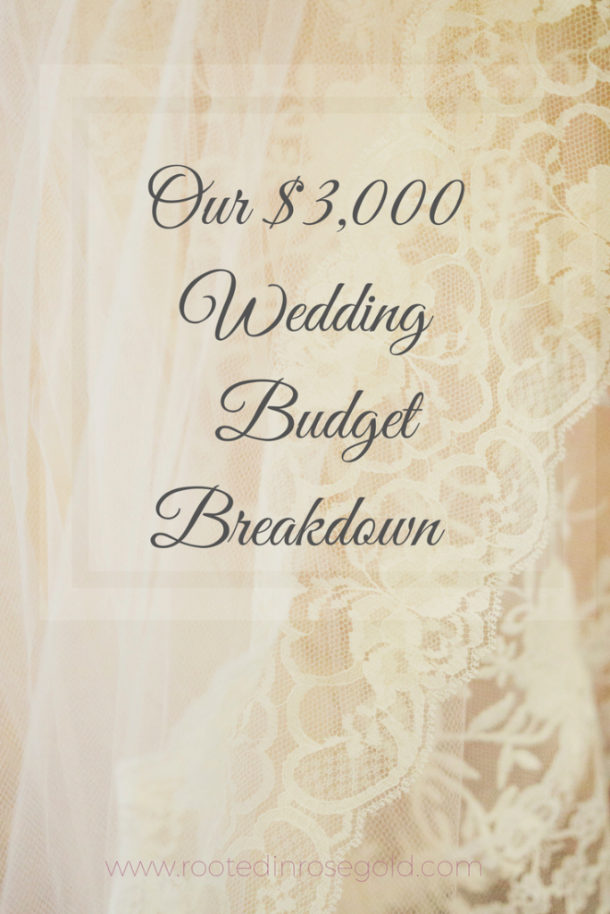 What a Wedding With A Budget Under $3,000 Looks Like - See Tash Travel